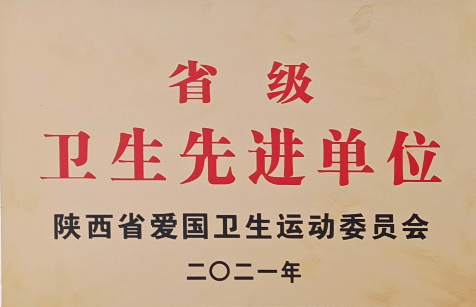 水環(huán)境公司鎮(zhèn)安污水處理廠榮獲“省級(jí)衛(wèi)生先進(jìn)單位”榮譽(yù)稱(chēng)號(hào)